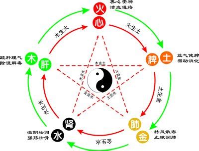 木生什么|五行中什么生木？